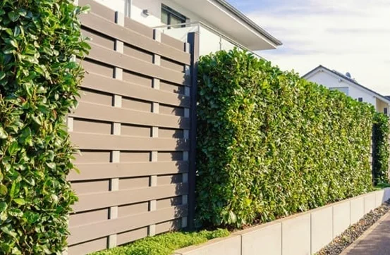 Taille de haie réalisée par Entretien Jardin Services